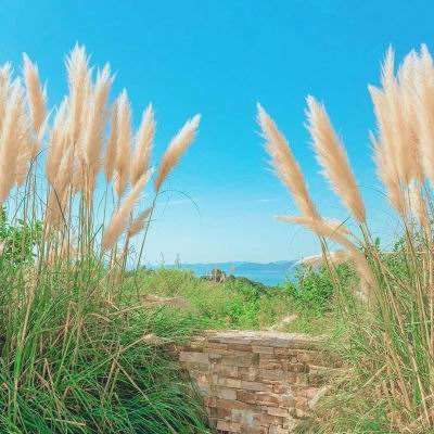 网赌软件在线下载