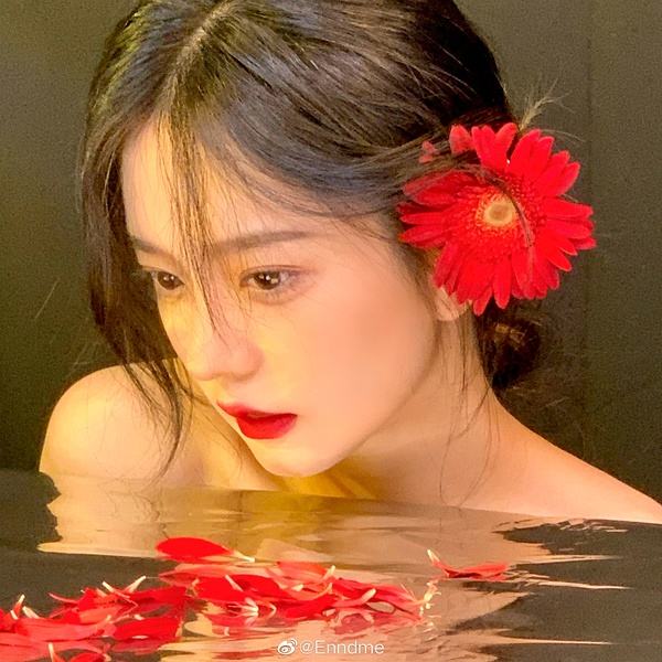 半岛手机网页版登录入口